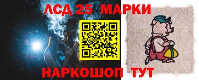 шишки Можга