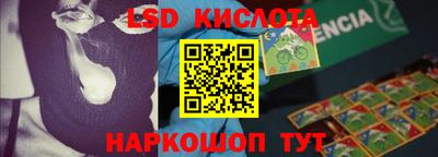 шишки Можга