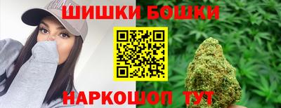 шишки Можга