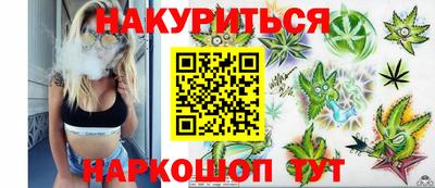 прущие грибы Можайск