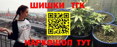 шишки Можга