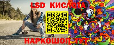 шишки Можга