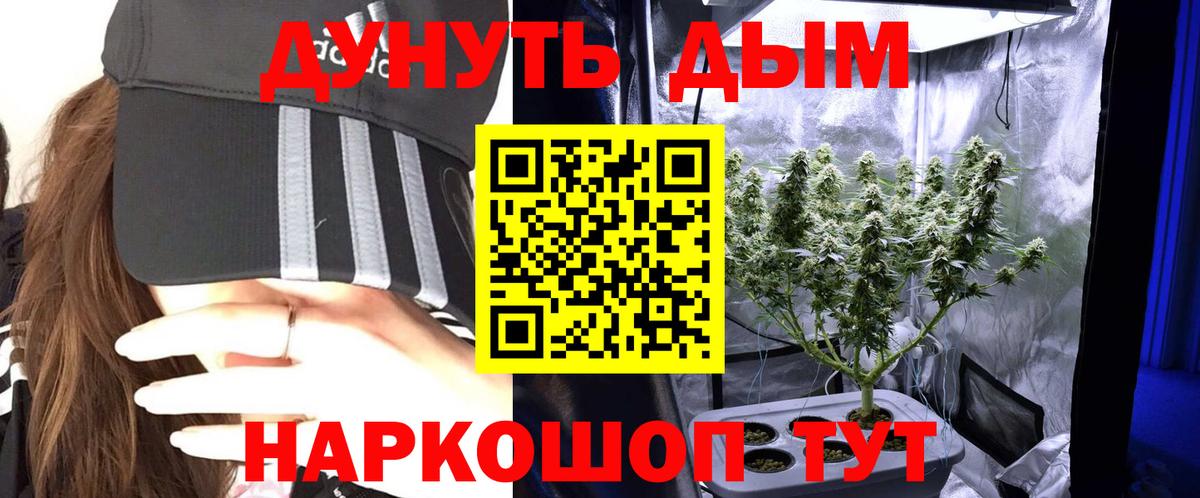 Шишки марихуана сатива  Шишки марихуана план  Бошки марихуана OG Kush  Вход с VPN  МАРИХУАНА индика  Семилуки 